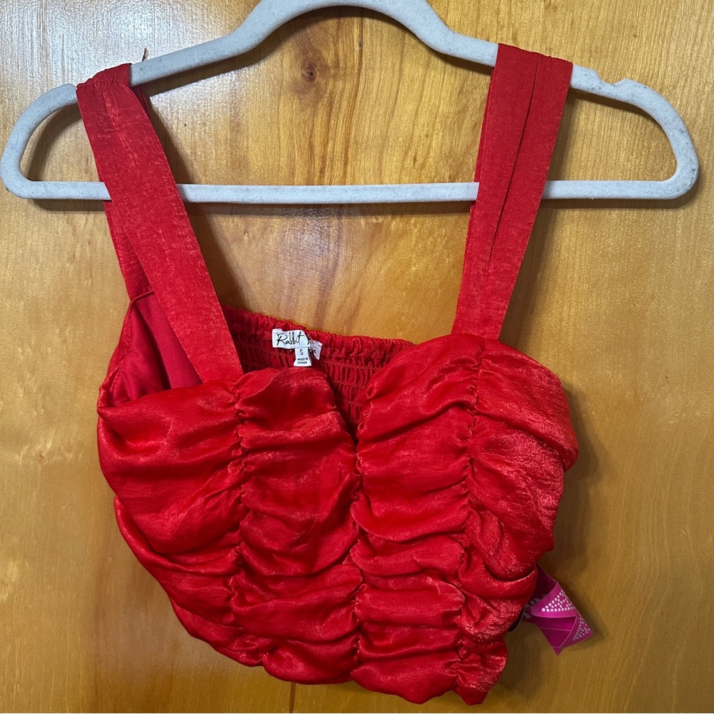 Rabbit Rose Red Crop Top